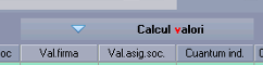 WinMENTOR - buton Calcul valori pentru recalculul sumelor